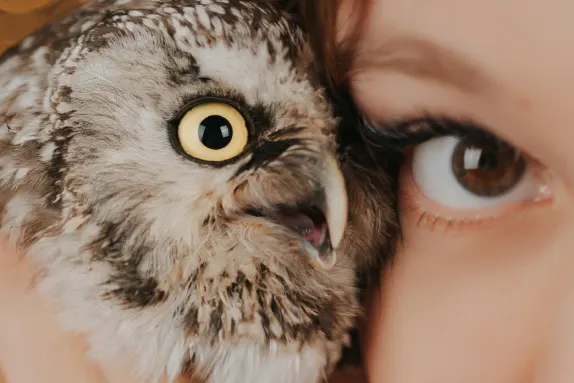 Efbet Casino Support